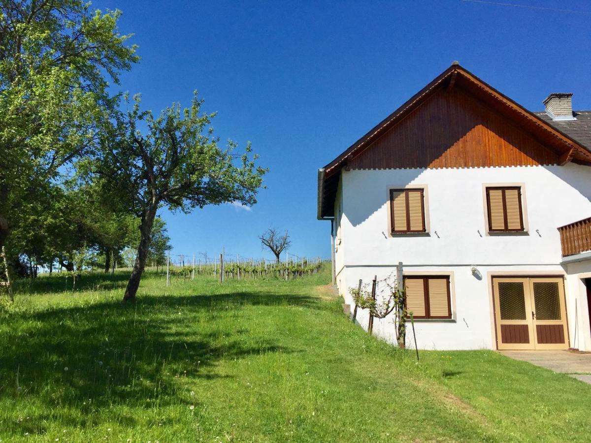 Urlaub Im Weingarten Winten  ภายนอก รูปภาพ
