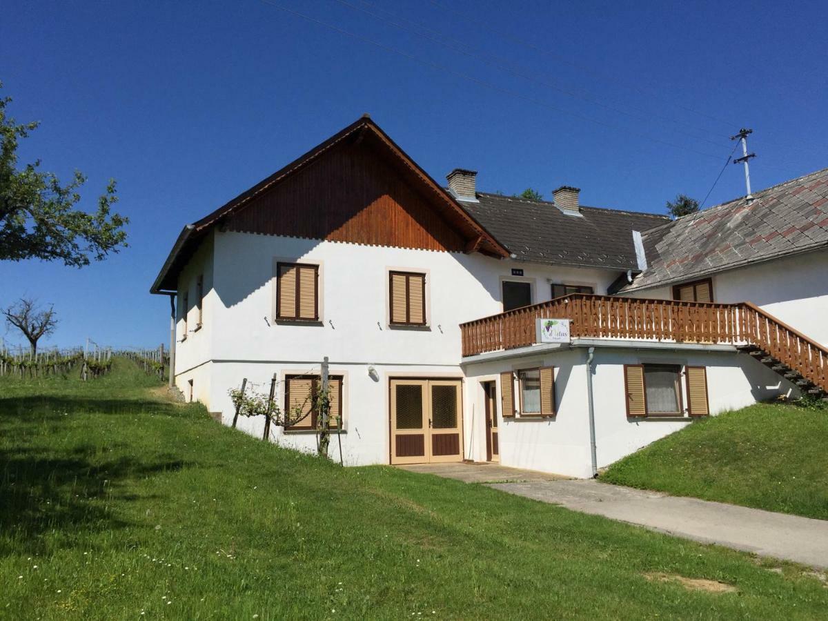Urlaub Im Weingarten Winten  ภายนอก รูปภาพ