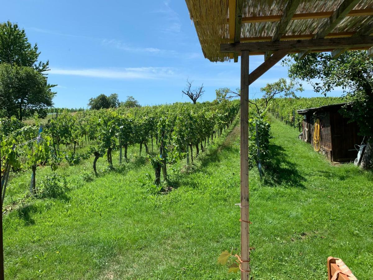 Urlaub Im Weingarten Winten  ภายนอก รูปภาพ