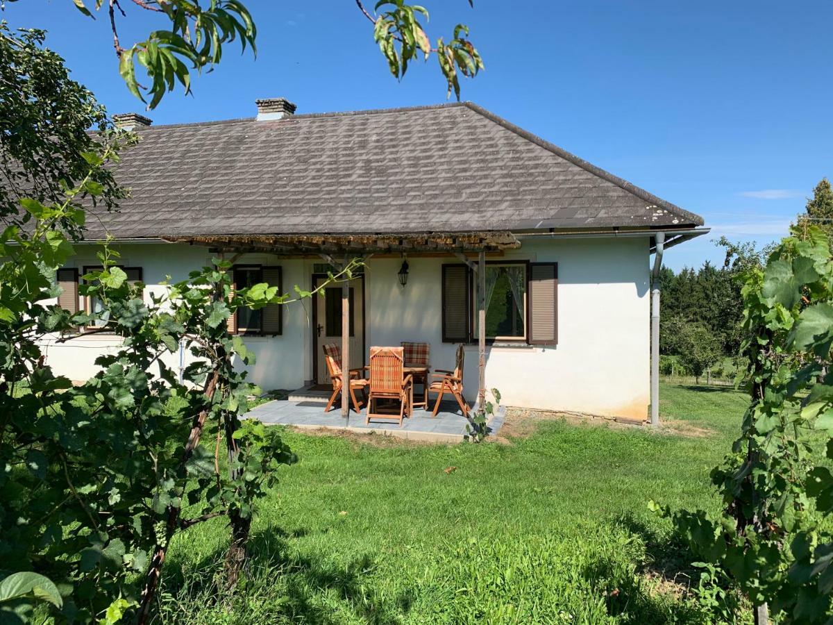 Urlaub Im Weingarten Winten  ภายนอก รูปภาพ